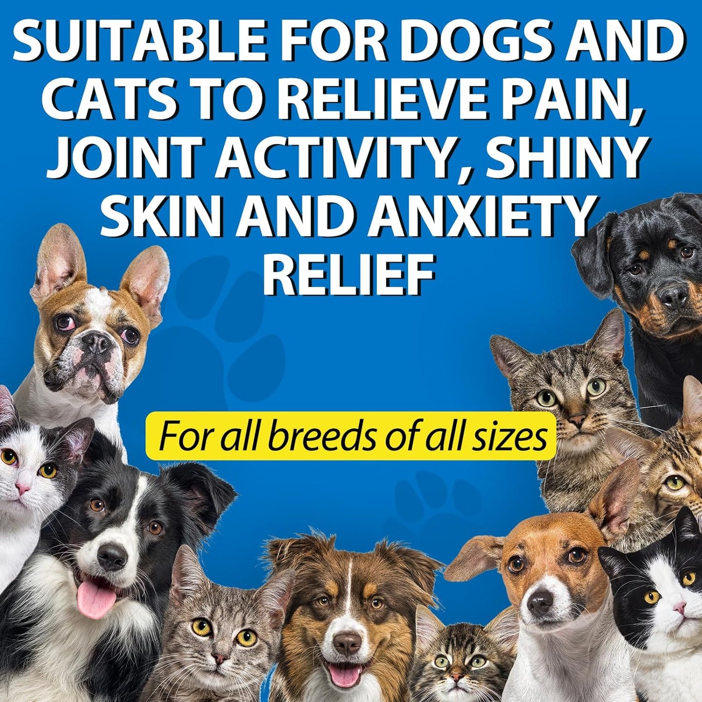 AIQIUSHA pet oil packaging displaying omega three six nine benefits for joint relief