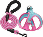 haapaw Dog Harness with Leash Set, No Pull Adjustable Reflective Step-in Puppy Harness with Thickened Padded Vest for Extra-Small/Small Medium Dogs - Image 12