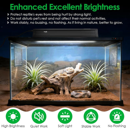 Hygger Zoo twelve inch UVB light bar being mounted above a desert reptile enclosure screen mesh top.