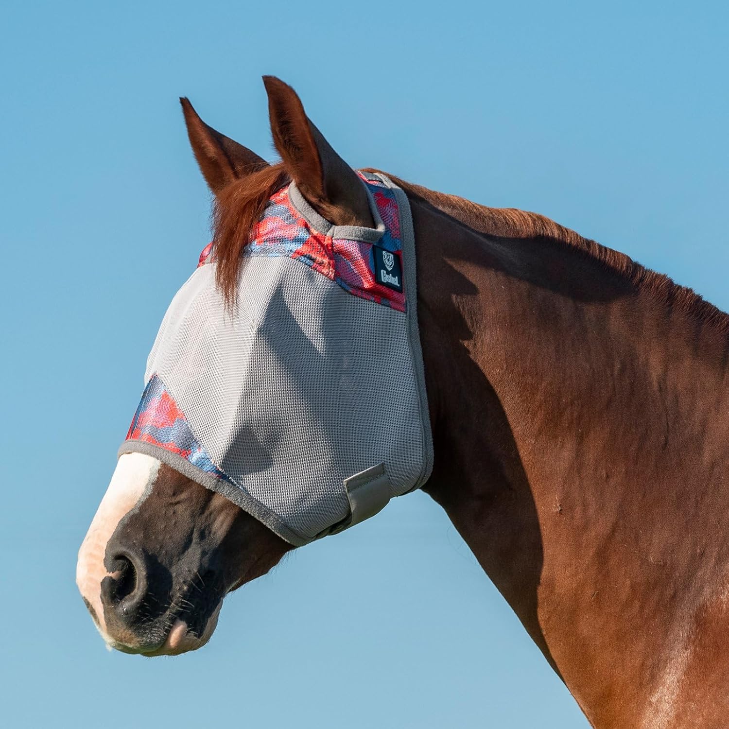 Rear view of Cashel horse fly mask showing fit
