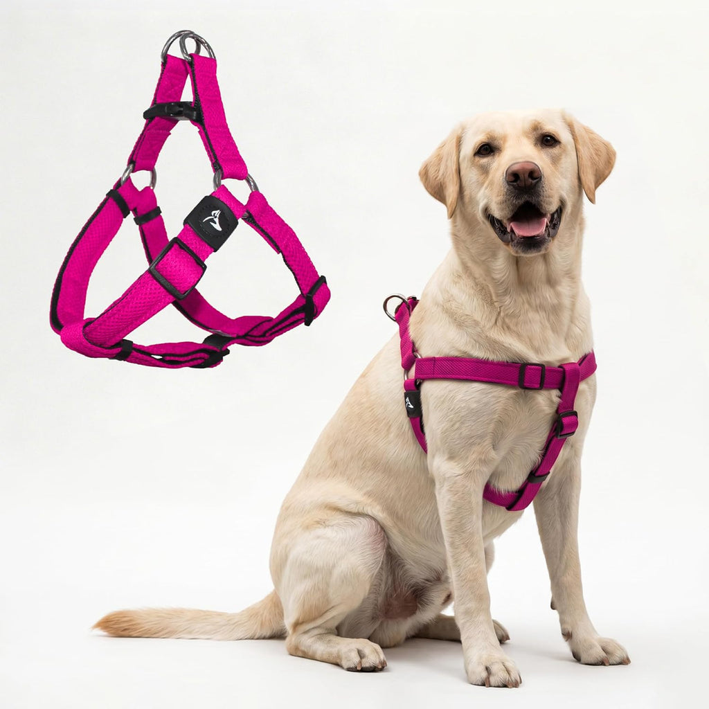 Kruz No Pull Dog Harness (Chest 26"-38", Weight 44-88 lbs) Heavy-Duty Pet Harness for Large Breeds, Ultra-Comfort Fit, Lifetime Durability, Adjustable Dog Harness No Pull Design (Amethyst, Large) - Image 13
