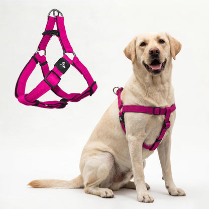 Kruz No Pull Dog Harness (Chest 26"-38", Weight 44-88 lbs) Heavy-Duty Pet Harness for Large Breeds, Ultra-Comfort Fit, Lifetime Durability, Adjustable Dog Harness No Pull Design (Amethyst, Large) - Image 13