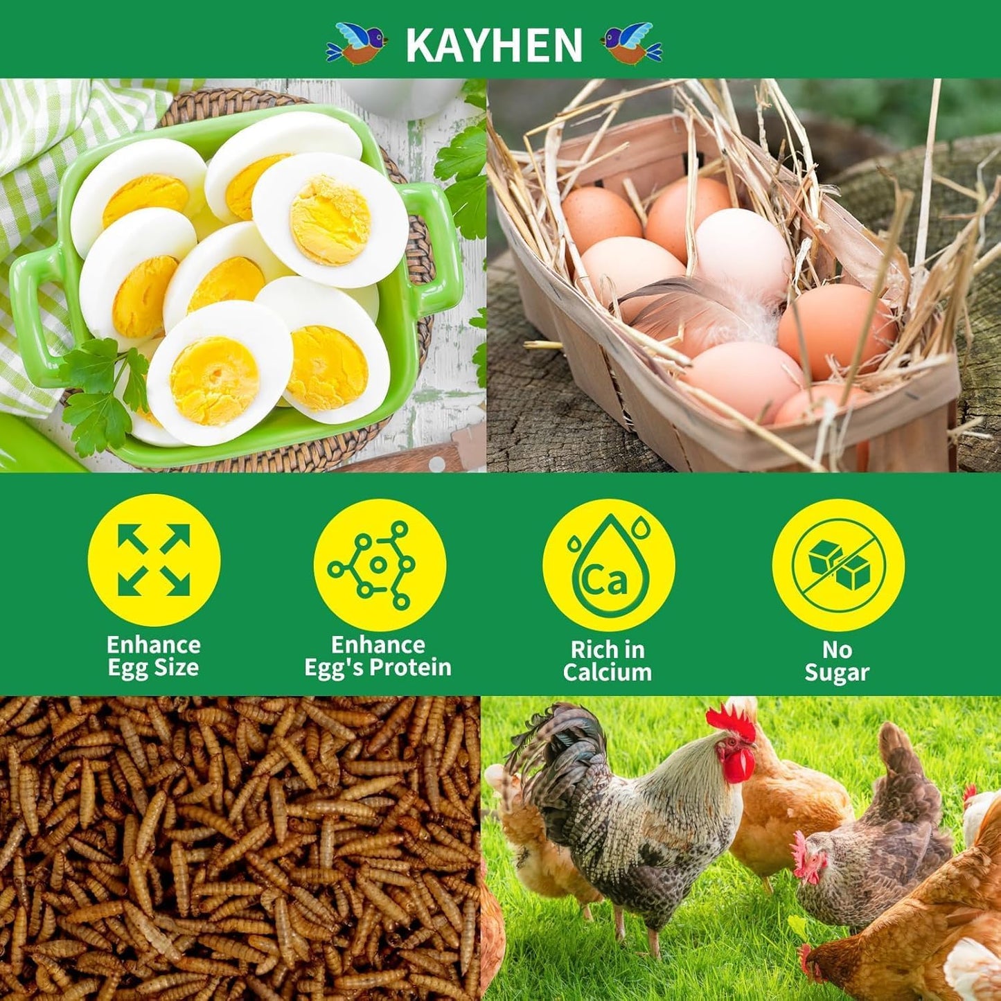 Resealable ziplock packaging for Kayhen larvae freshness