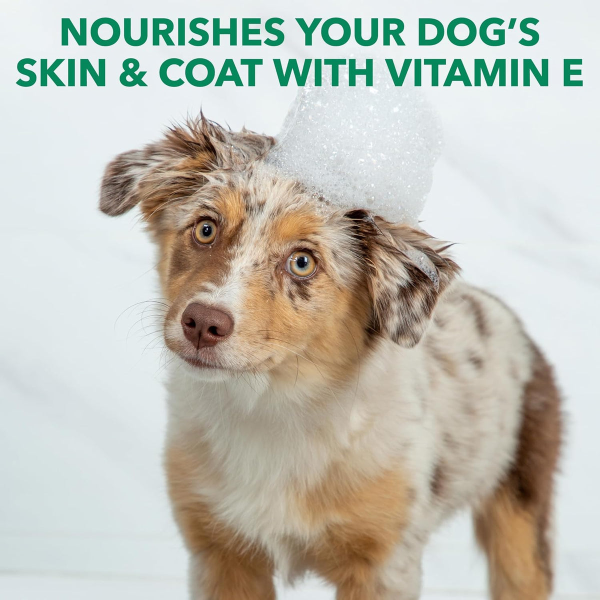 Hartz 14 ounce dog grooming shampoo ingredient label