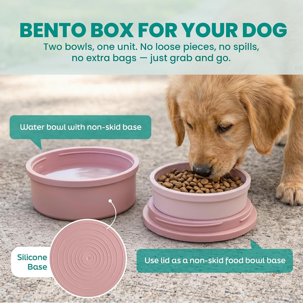 Close-up of the compact ten ounce inner dish and twenty ounce outer bowl.