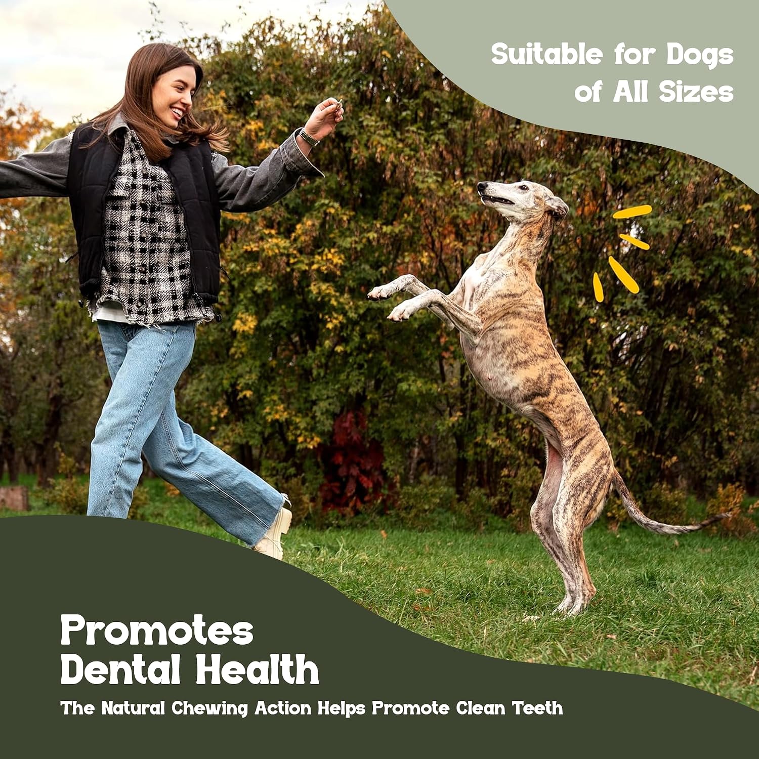 Beefeaters chicken flavored plastic free healthy dog treats