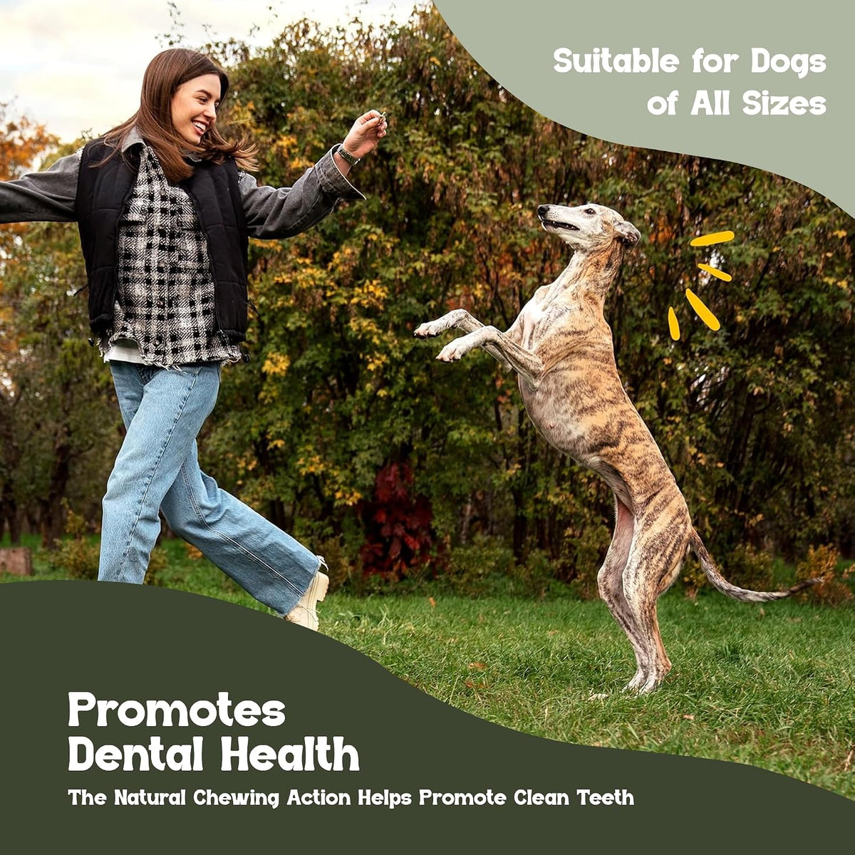 Beefeaters chicken flavored plastic free healthy dog treats