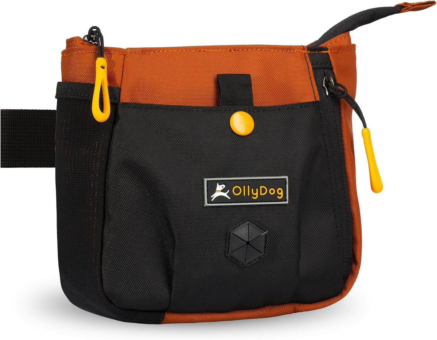 OllyDog Backcountry Day Bag | Hands-Free Dog Training Treat Pouch | Fanny/Hip Pack with Zipper Closure & Built-in Poop Bag Dispenser | Removable Waist Clip (Raven S'25) - Image 9
