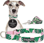 Lucky Love Dog Martingale Dog Collar - Adjustable, No-Slip, Durable, & Soft Webbing Collar for Male and Female Dogs Ideal for Training & Walking - Blackbird, Medium - Image 15