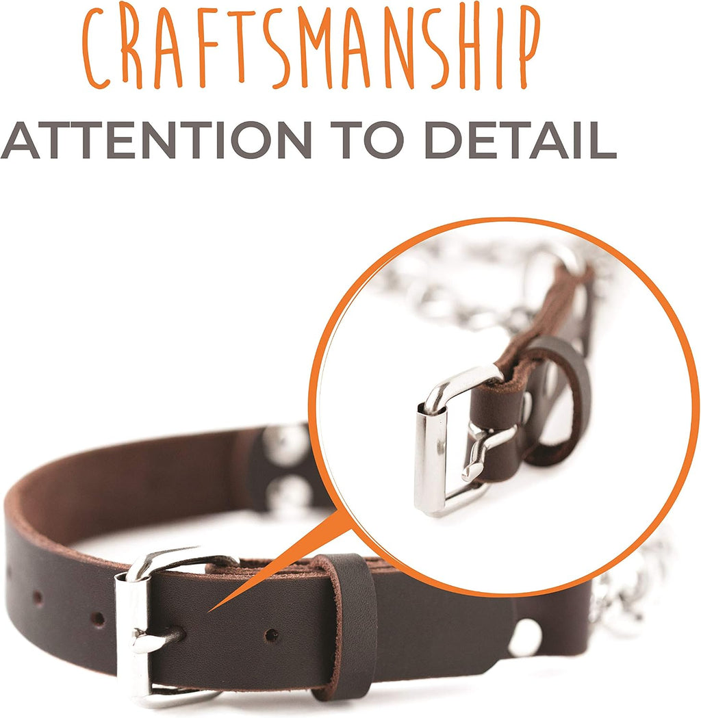 Durable stainless steel training chain on premium leather dog collar