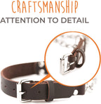 Durable stainless steel training chain on premium leather dog collar