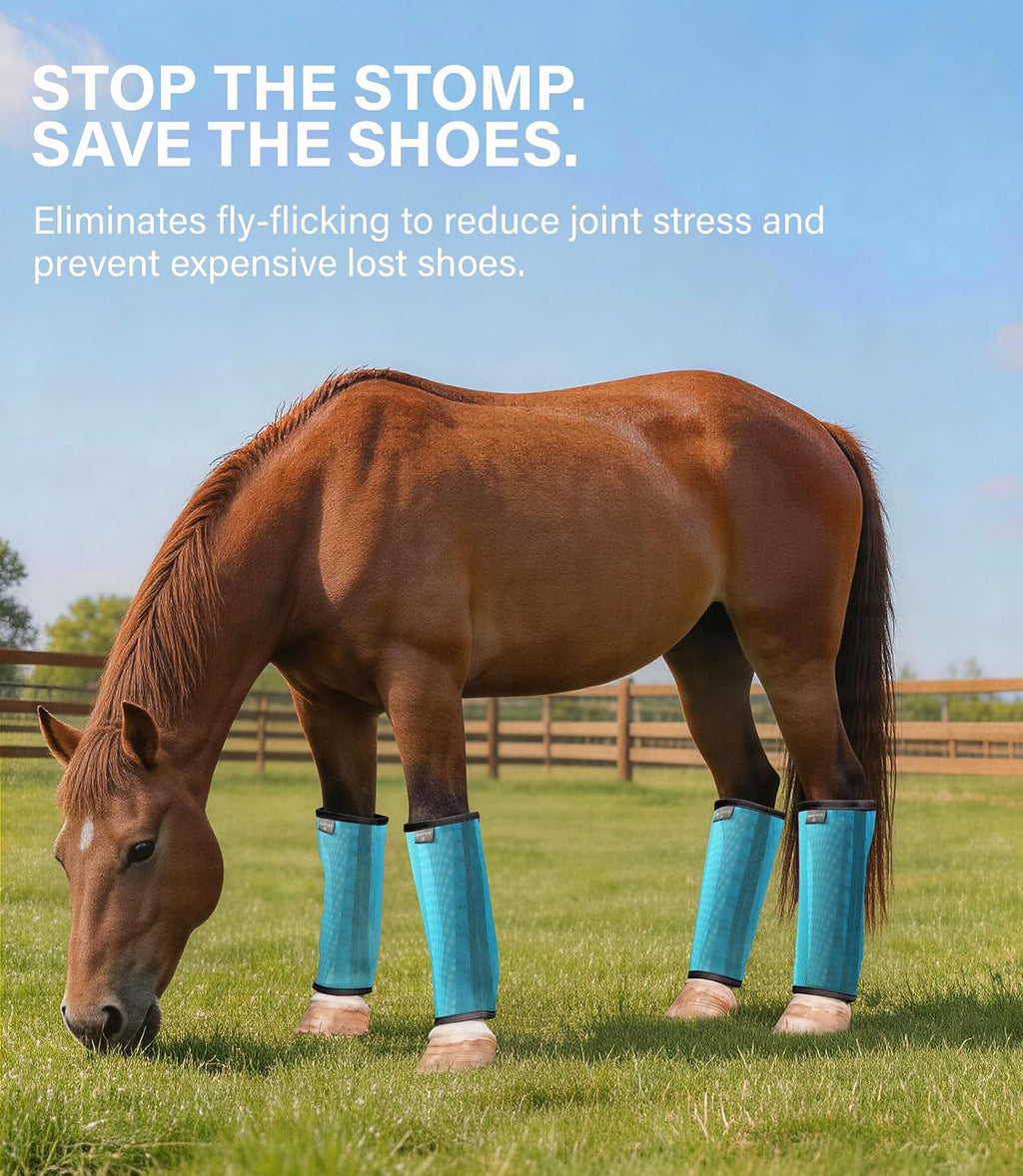 HackFond large horse fly boots showing the durable non chafing edge trim packaging details