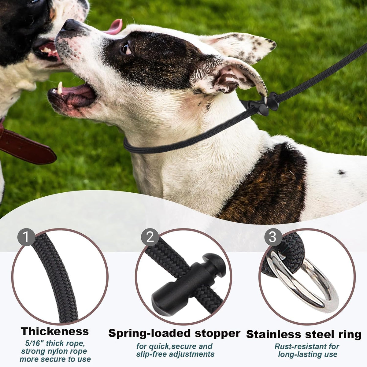 Black martingale dog collar for medium and large breeds