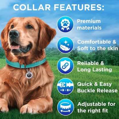 Teceum nylon dog collar showing quick release buckle