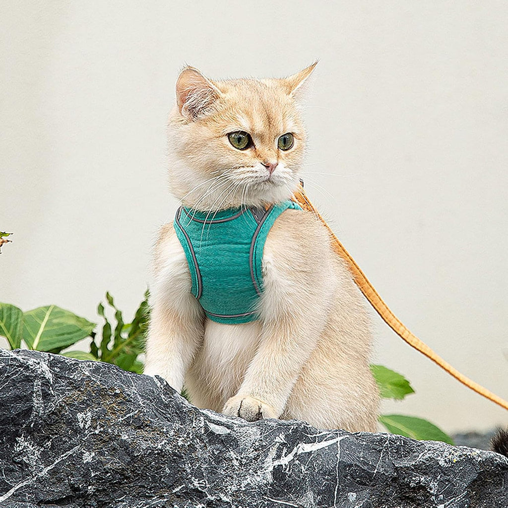 Soft suede breathable cat vest close up material texture