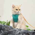 Soft suede breathable cat vest close up material texture