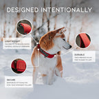 Light blue hybrid slip collar designed for gentle pet leash training control.