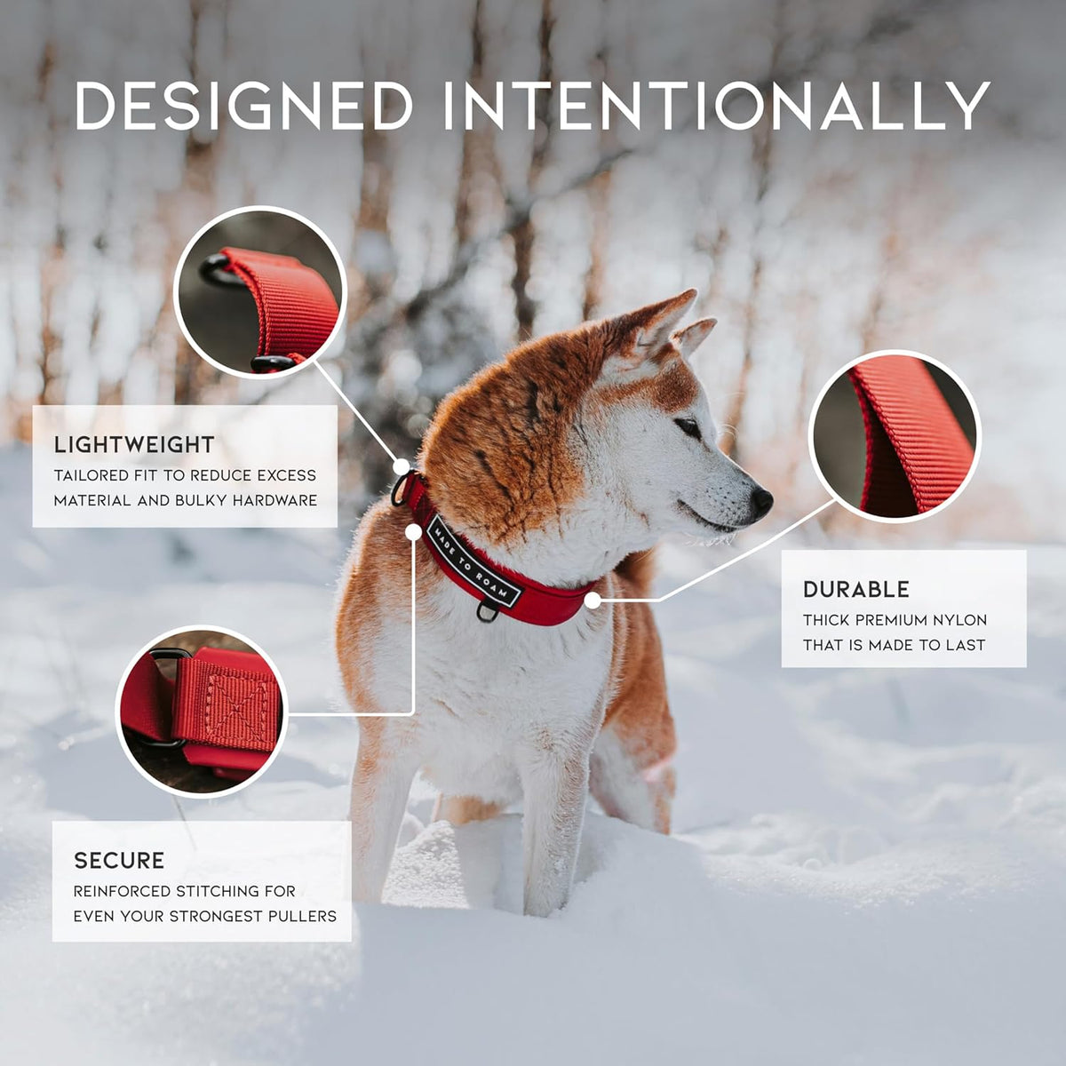 Light blue hybrid slip collar designed for gentle pet leash training control.