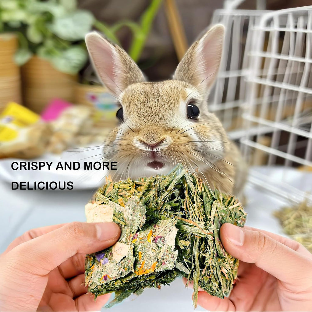 Natural high fiber rodent snacks preventing cage boredom and promoting digestion