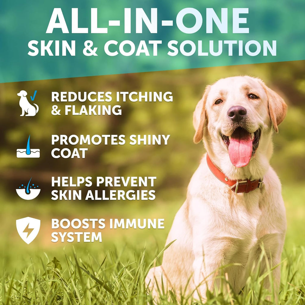 Nature Target dog allergy soft chews container displaying salmon oil and premium ingredients list.