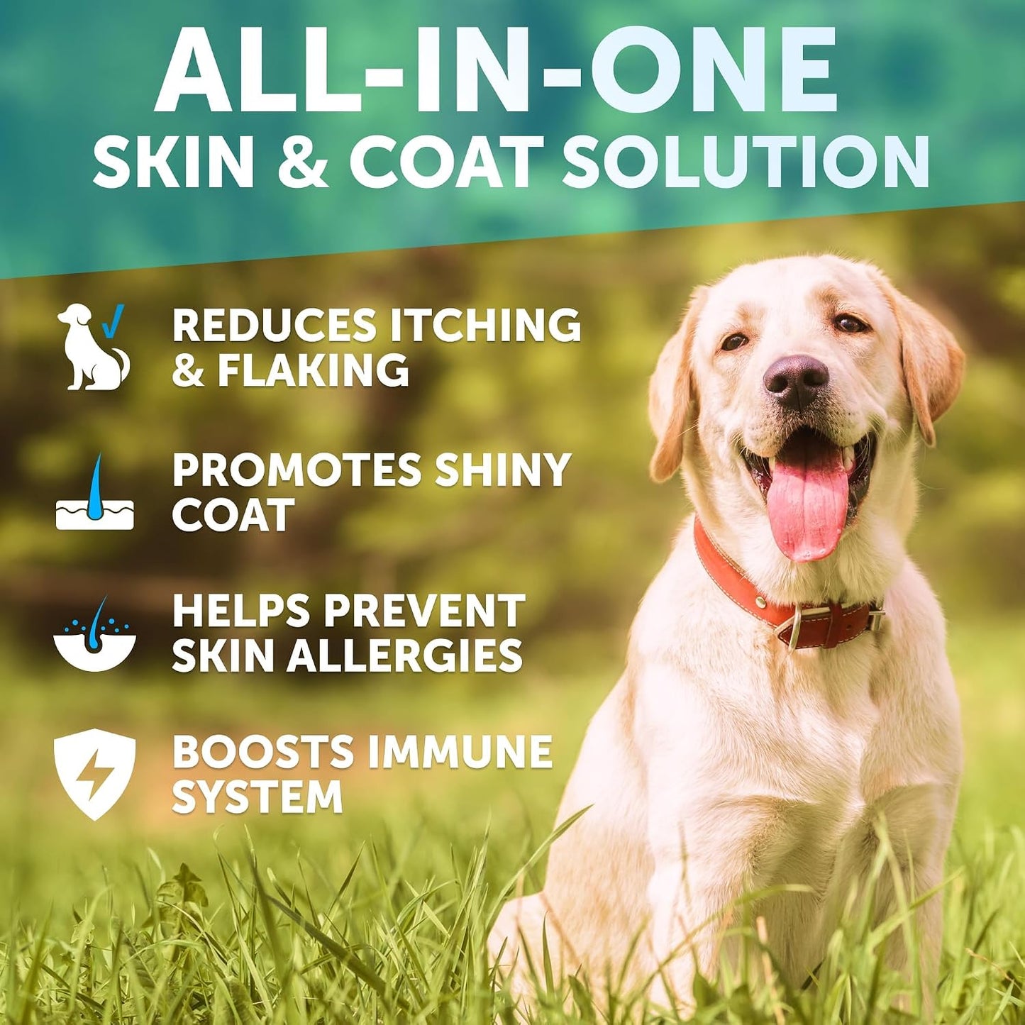Nature Target dog allergy soft chews container displaying salmon oil and premium ingredients list.
