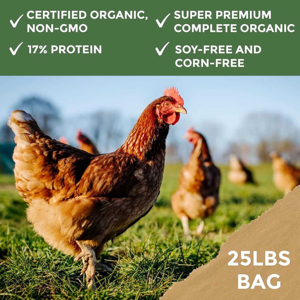 Close up of New Country Organics corn-free and soy-free grain blend.