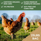 Close up of New Country Organics corn-free and soy-free grain blend.