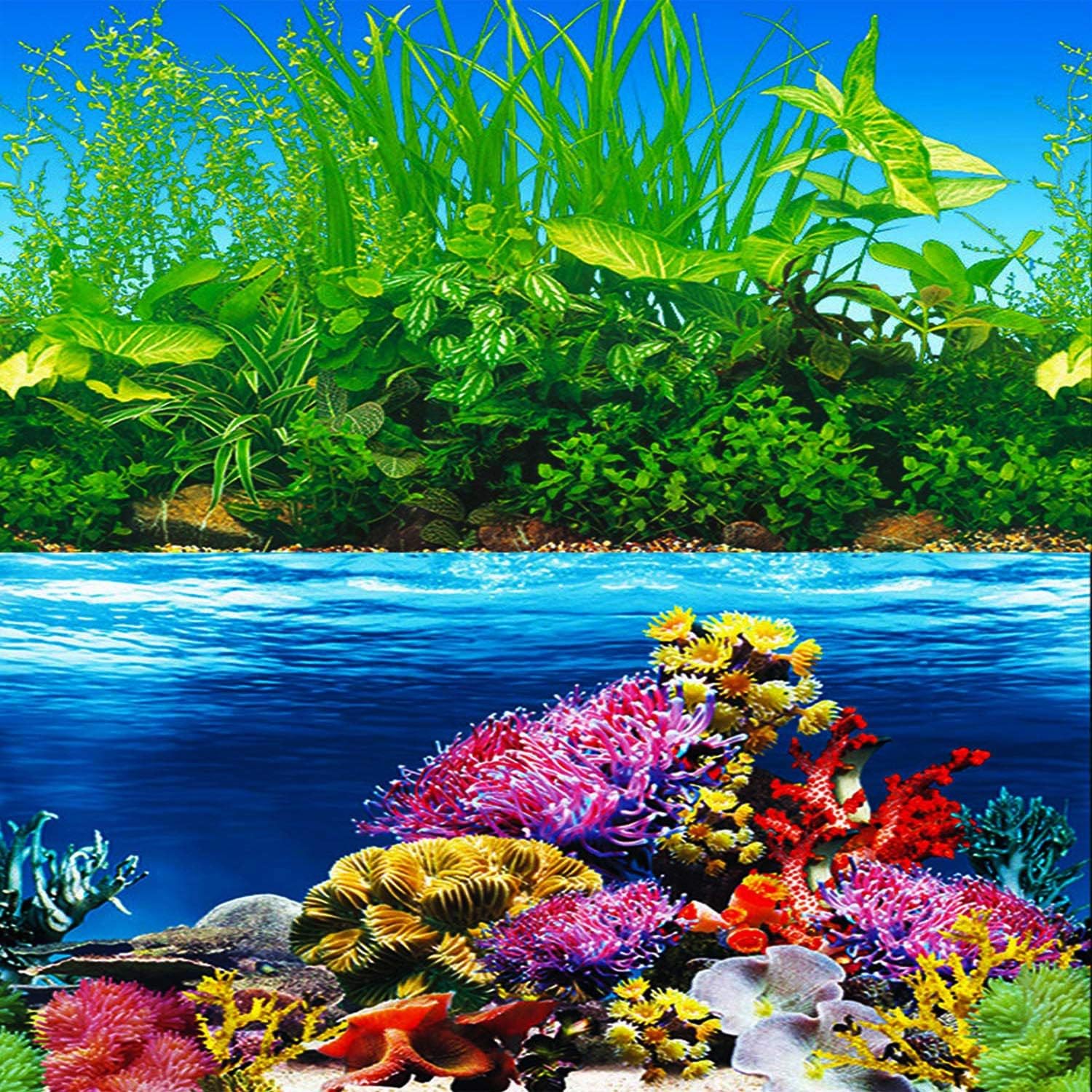High definition sea anemone and coral print on the ELEBOX premium aquarium poster.