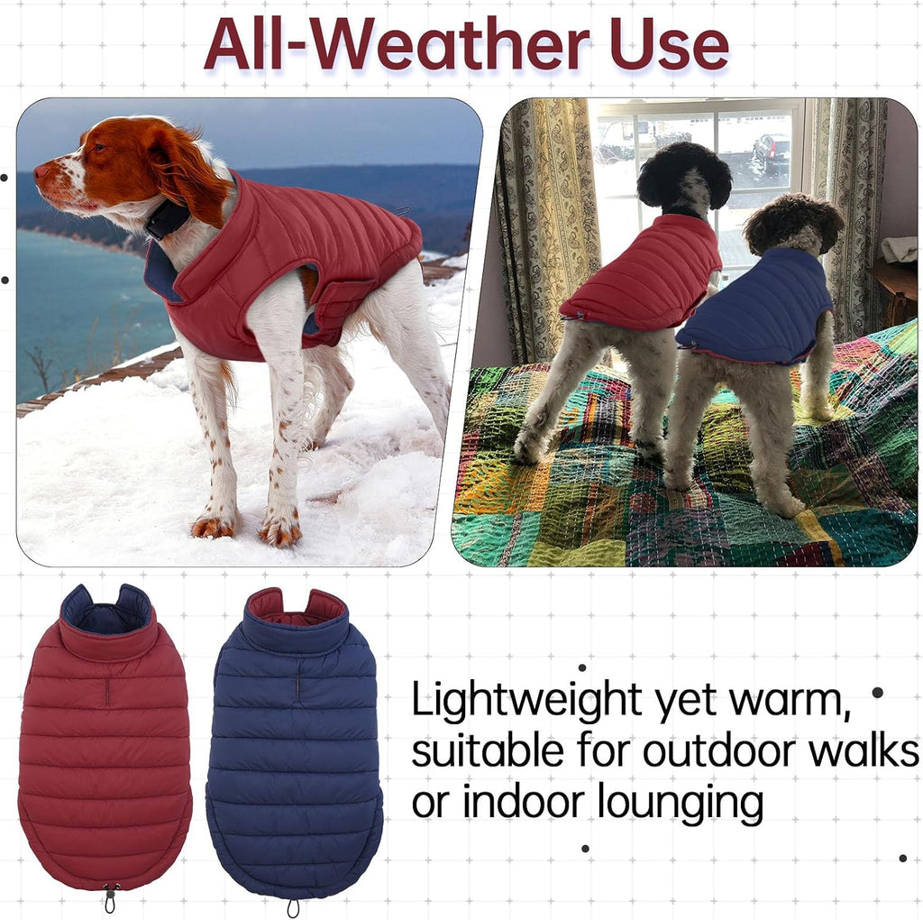 Side profile view of a large dog wearing the lightweight Lelepet winter apparel