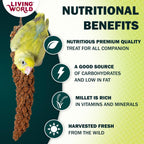 Living World millet spray for birds natural seed texture