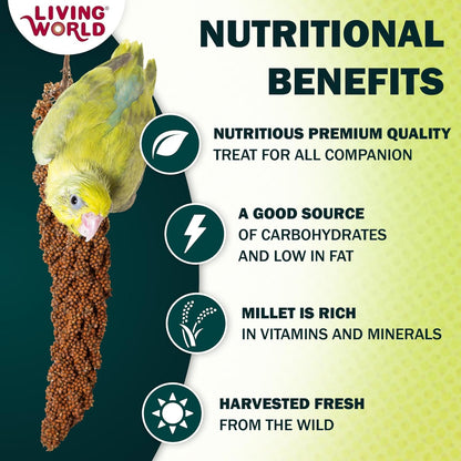Living World premium natural bird treat for budgies
