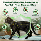 Adjustable essential oil cat collar with bell detail