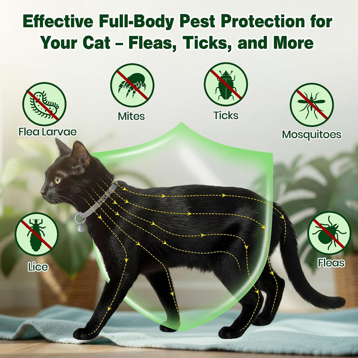 Adjustable essential oil cat collar with bell detail