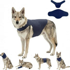 Dajidali extra small pet recovery clothing fitted comfortably on a cat