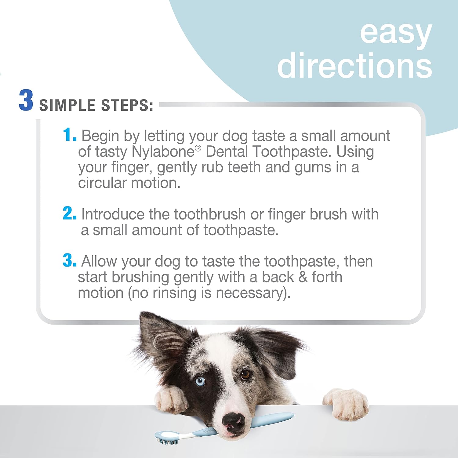 Two point five ounce tube of Nylabone original flavor tartar control toothpaste for dogs