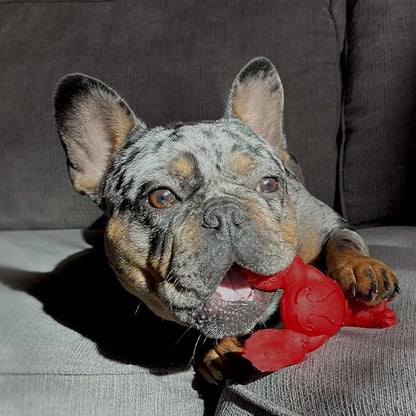 Nylabone Lobster Power Chew Toy for Dogs, Dog Toys for Aggressive Chewers, Filet Mignon Flavor, Small Dogs - Up to 25 Ibs, 1 Count - Image 14
