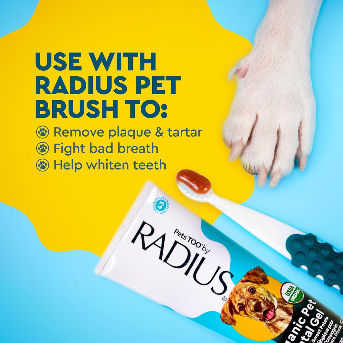 Radius toothpaste tube with pet toothbrush