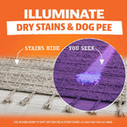 Close up of the compact LED pet urine detector black light flashlight package components.