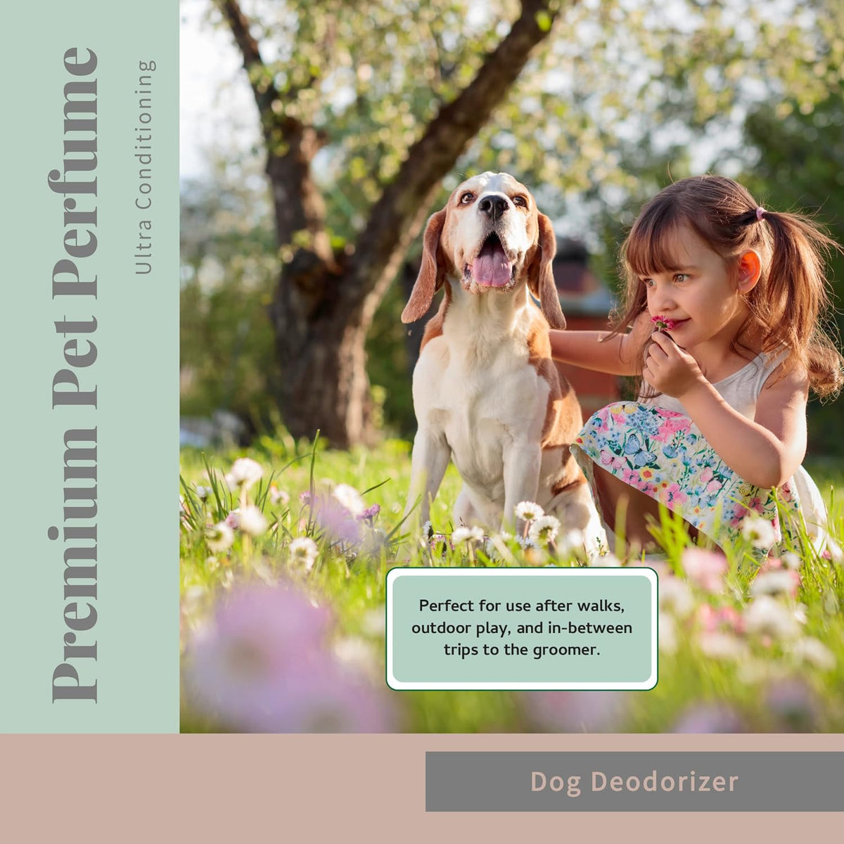 Begleys plant based conditioning spray for shiny dog coat