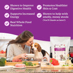 Dr. Harvey's Paradigm Green Superfood trial size packaging side view