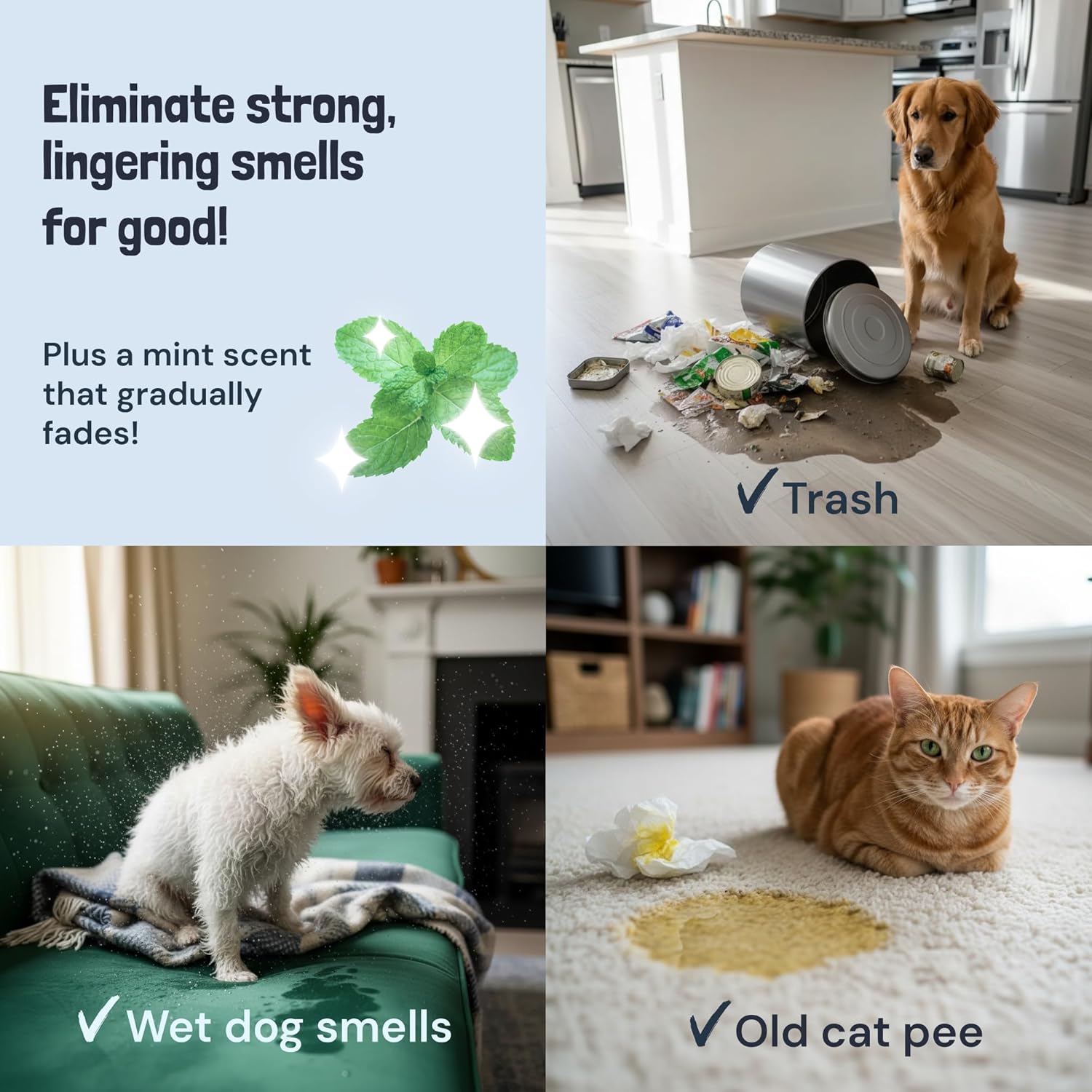 USA-imported pet urine enzyme cleaner spray on furniture upholstery