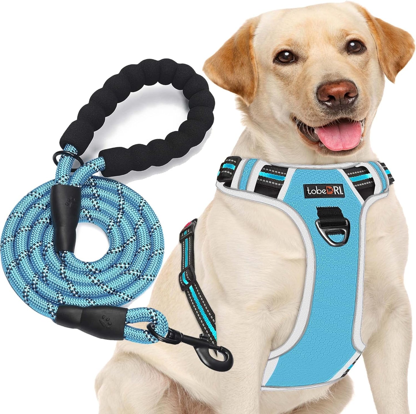 tobeDRI No Pull Dog Harness Adjustable Reflective Oxford Easy Control Medium Large Dog Harness with A Free Heavy Duty 5ft Dog Leash - Image 15