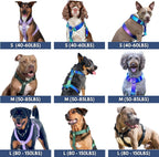 Comfy neoprene padded no choke dog harness for broad chested breeds