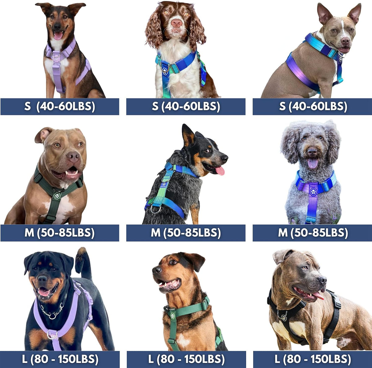 Comfy neoprene padded no choke dog harness for broad chested breeds