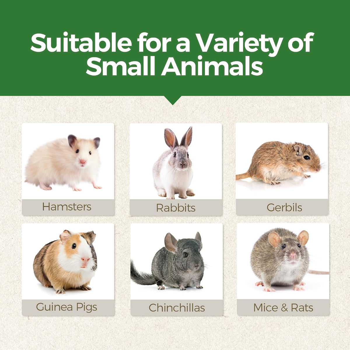TEEWY 4 count rabbit and chinchilla chew toys packaging layout.