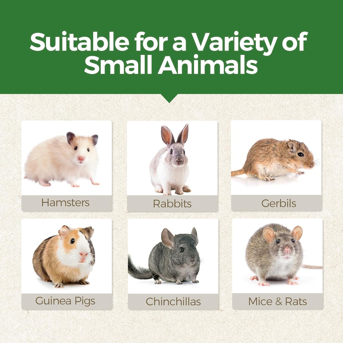Teewy edible small animal chews showing natural vegetables and plant based formula.