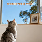 HAMUIERS rainbow bridge pet sympathy gift package elements spread out