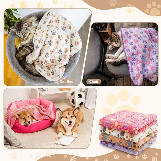Pack of four soft coral velvet dog mats displayed in mixed colors.