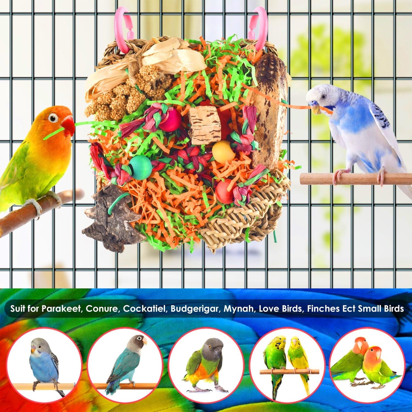 KATUMO conure climbing net interactive pet bird toy authentic imported packaging