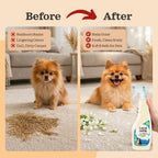 Using enzymatic spray to eliminate feces and vomit stains on home rugs.